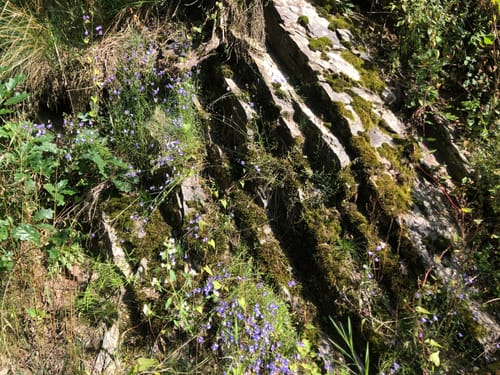 Sechs Eichen Runde in Arft ab Haus Raßberg