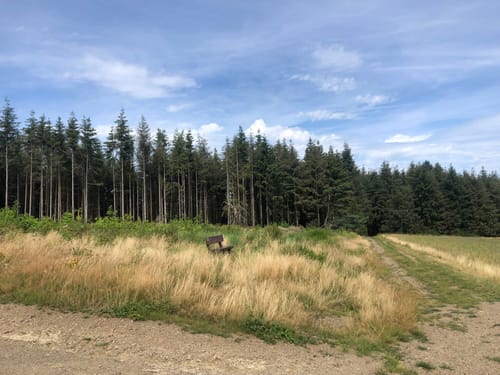 Sechs Eichen Runde in Arft ab Haus Raßberg