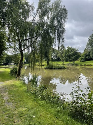 Medebacher Bergweg Etappe 4: Düdinghausen - Medebach