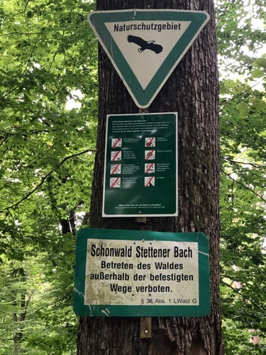 Bachhalde über Jagdhundefriedhof
