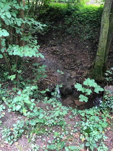 Bachhalde über Jagdhundefriedhof
