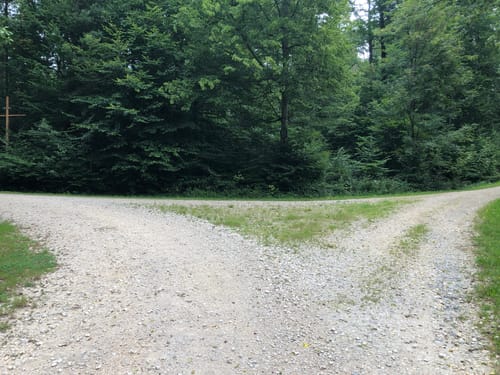 Bachhalde über Jagdhundefriedhof