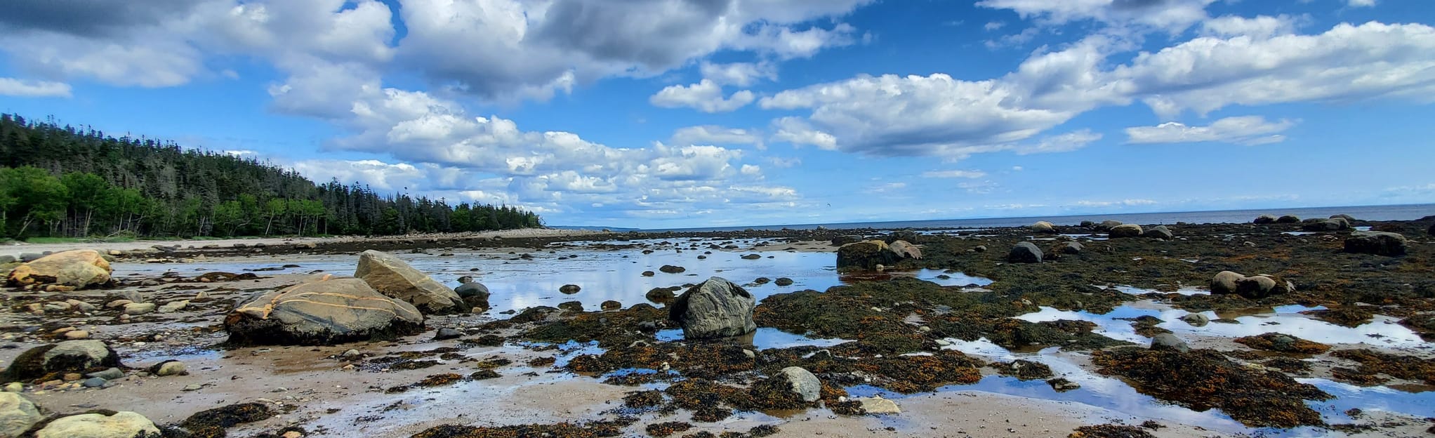 Boucle Jardin des Glaciers 7 Reviews, Map Quebec, Canada AllTrails