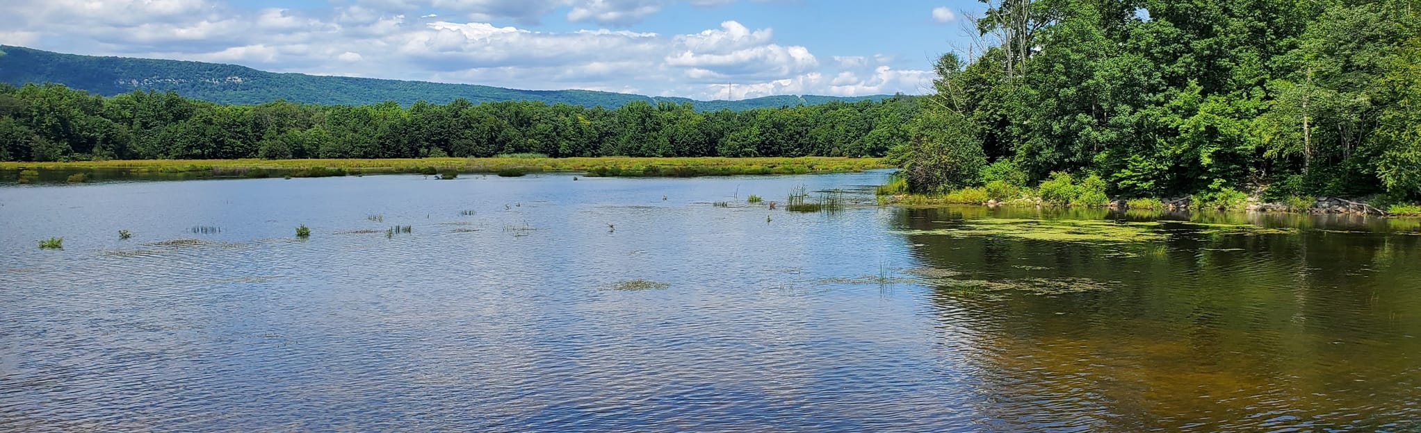 Minsi Lake Nature Trail, Pennsylvania 53 Reviews, Map AllTrails