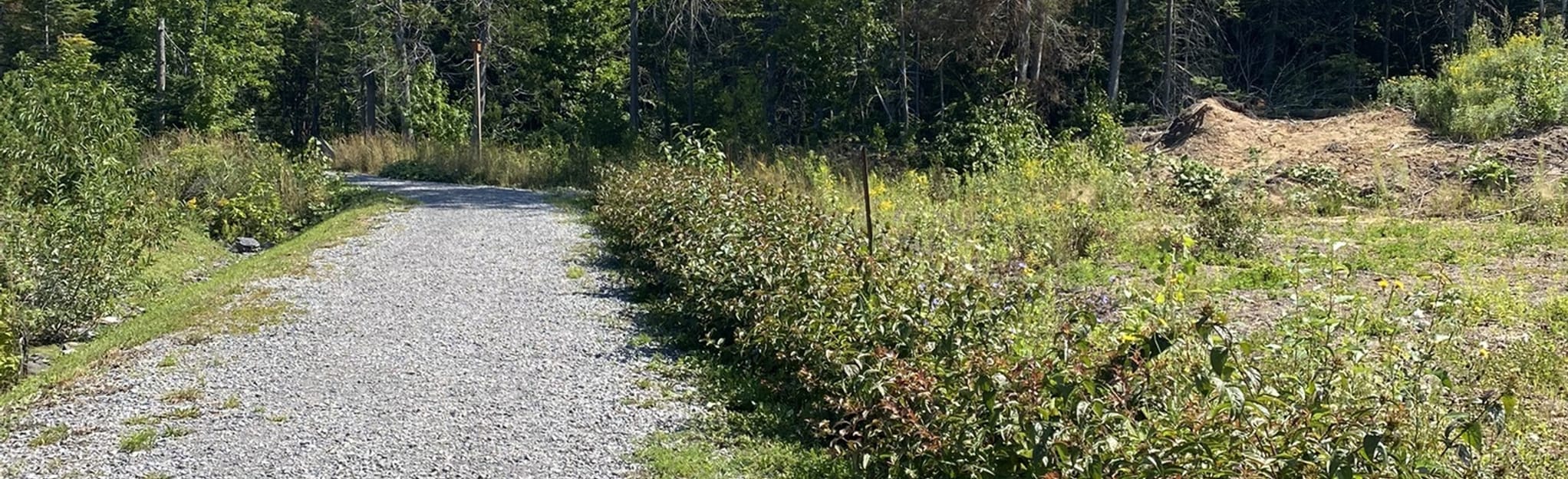 Long Trail of Saint Apollinaire, Quebec, Canada 46 Reviews, Map