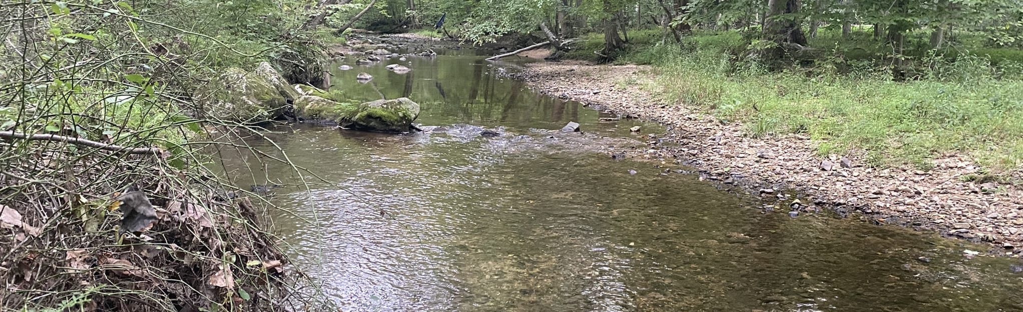 Indian Run Trail, Pennsylvania 12 Reviews, Map AllTrails