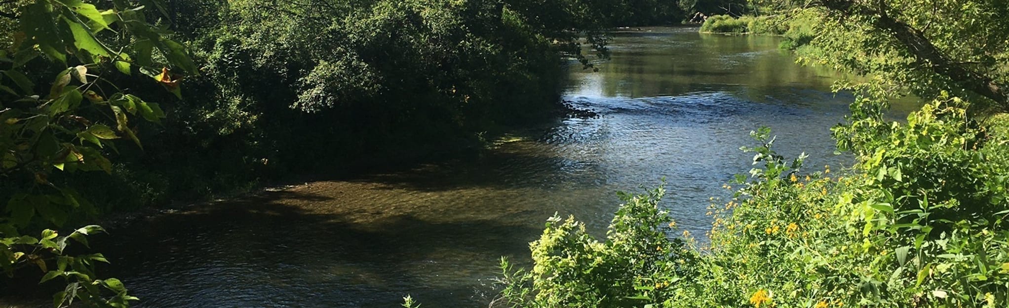 Lanesboro to Fountain via Root River State Trail, Minnesota 99