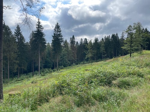 Masserberg, Kleiner Sauberg, Werraquell-Hütte