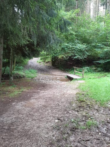 Runde bei Hülsenbusch