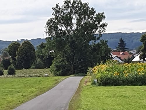 Um das Kieswerk Niederwald und den Erlensee
