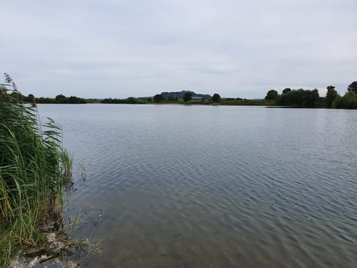 Um das Kieswerk Niederwald und den Erlensee
