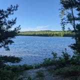 Beaver Lake Loop, Michigan - 132 Reviews, Map | AllTrails