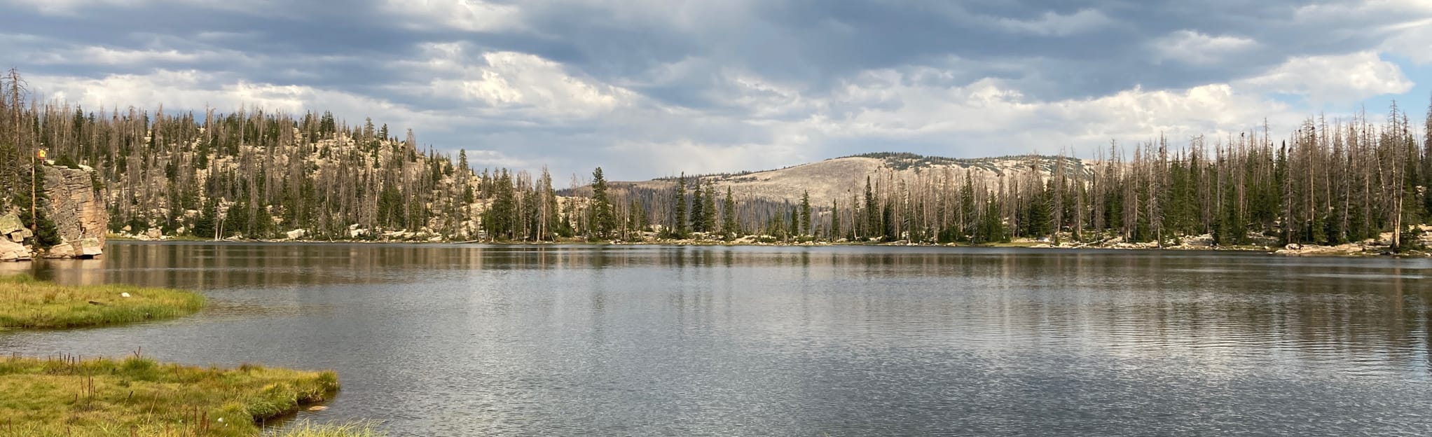 Smith Morehouse Trail 46 Reviews, Map Utah AllTrails