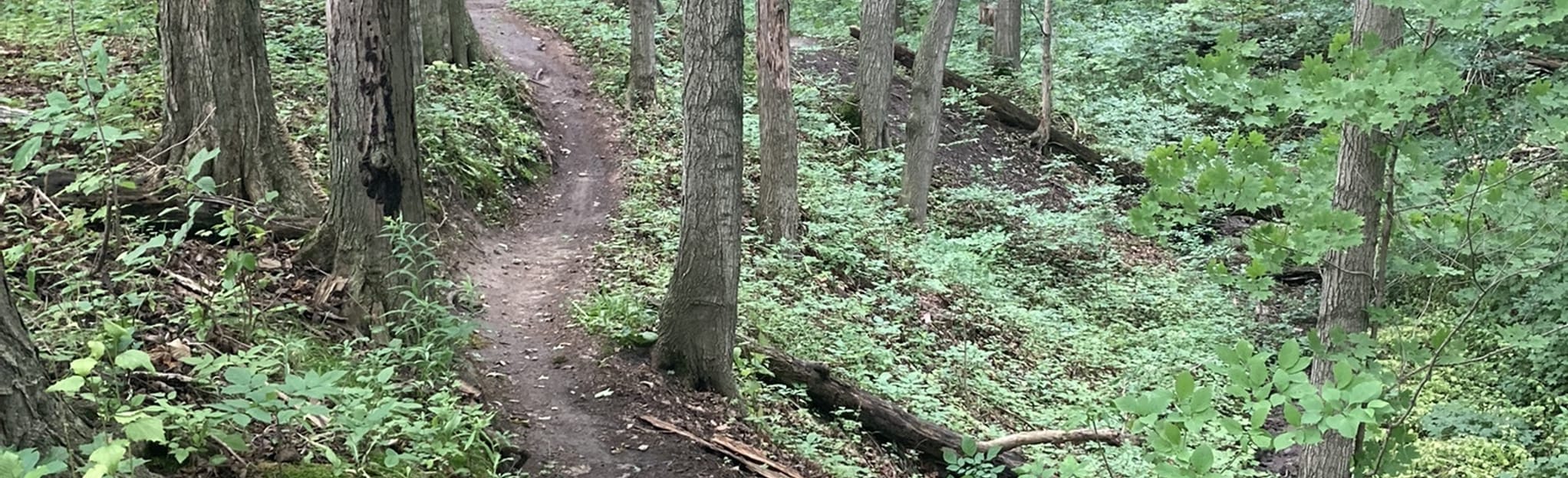 The Hydrocut Eastern Trails Ontario - EyJidWNrZXQiOiJhc3NldHMuYWxsdHJhaWxzLmNvbSIsImtleSI6InVwbG9hZHMvcGhvdG8vaW1hZ2UvMzk2MDU5MDcvMjI3NDU0ZTI0ZDYzZDVhYTljOGNhM2JmZDQxODg2MjIuanBnIiwiZWRpdHMiOnsidG9Gb3JtYXQiOiJqcGVnIiwicmVzaXplIjp7IndpZHRoIjoyMDQ0LCJoZWlnaHQiOjYyNCwiZml0IjoiY292ZXIifSwicm90YXRlIjpudWxsLCJqcGVnIjp7InRyZWxsaXNRdWFudGlzYXRpb24iOnRydWUsIm92ZXJzaG9vdERlcmluZ2luZyI6dHJ1ZSwib3B0aW1pc2VTY2FucyI6dHJ1ZSwicXVhbnRpc2F0aW9uVGFibGUiOjN9fX0=