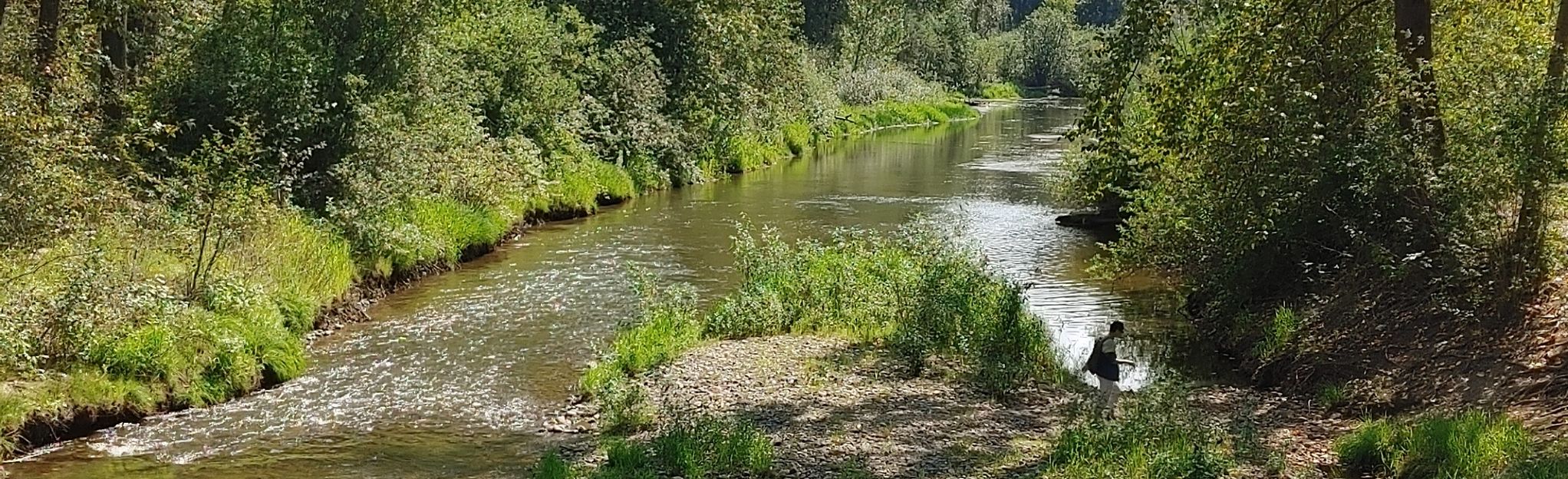 Cottonwood Island Loop Trail, British Columbia, Canada 175 Reviews