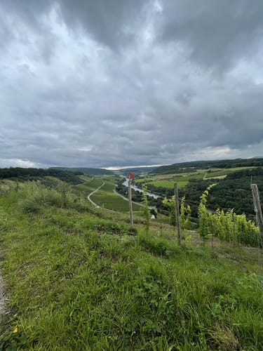 MTB-Tour 2 "Galgenberg"