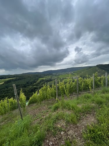 MTB-Tour 2 "Galgenberg"