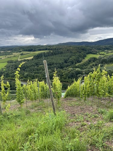 MTB-Tour 2 "Galgenberg"