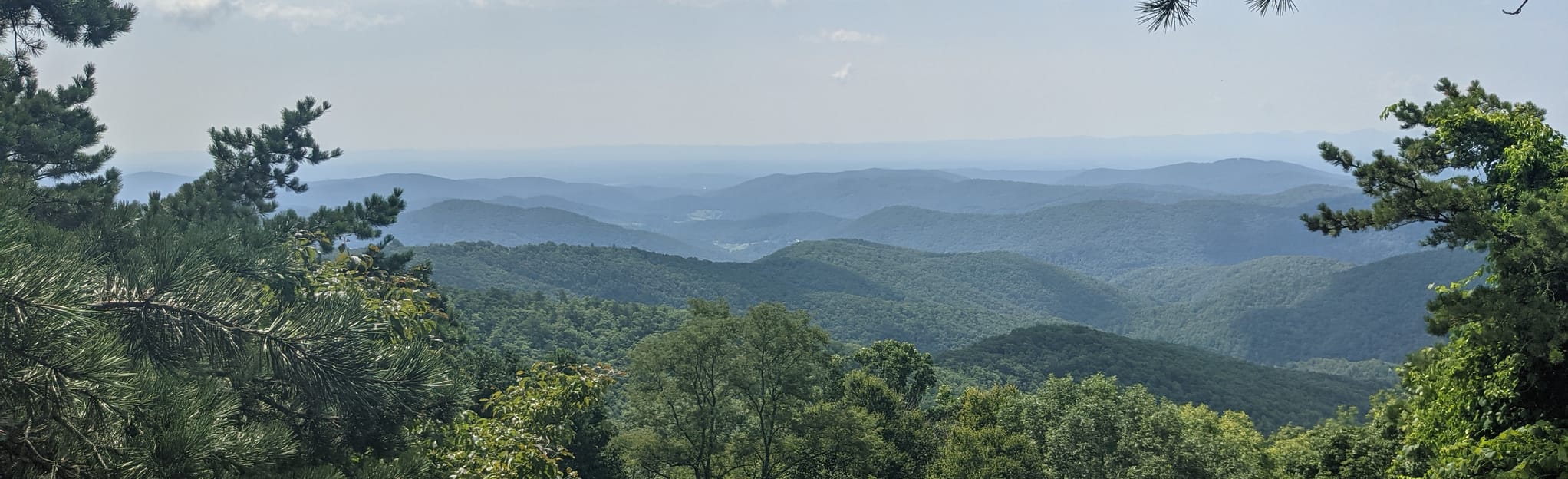 Flat Rock Ridge Trail and Grassy Gap Fire Road Loop, North Carolina ...