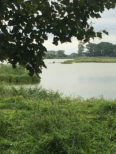 Seenrunde Altfriedland