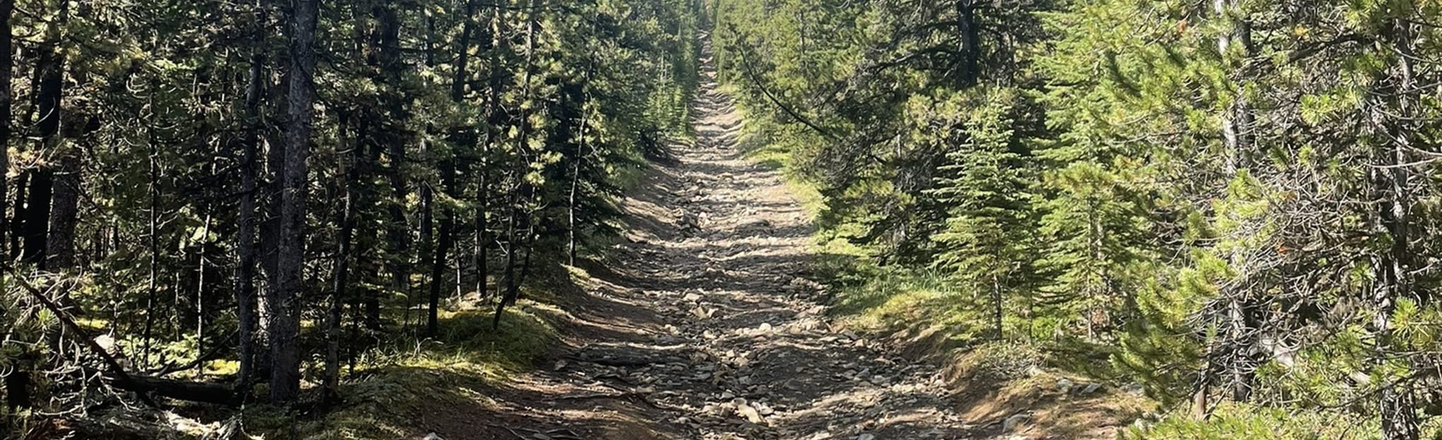wigwam-ridge-alberta-canada-3-reviews-map-alltrails