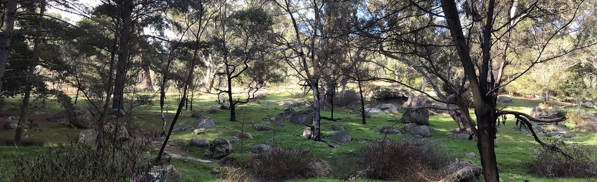 La Larr Ba Gauwa MTB Park Loop Victoria, Australia AllTrails