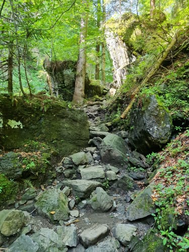 Höllschlucht-Wanderung: Wasser und Wald