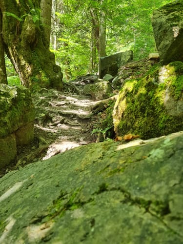 Höllschlucht-Wanderung: Wasser und Wald