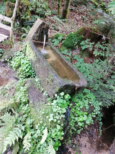 Alternativeroute Goldsteig Nr. 31: Zenting - Ranfels - Manzenreuth