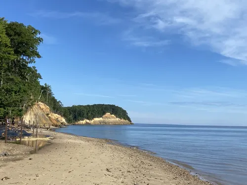 Best Hikes and Trails in Calvert Cliffs State Park | AllTrails