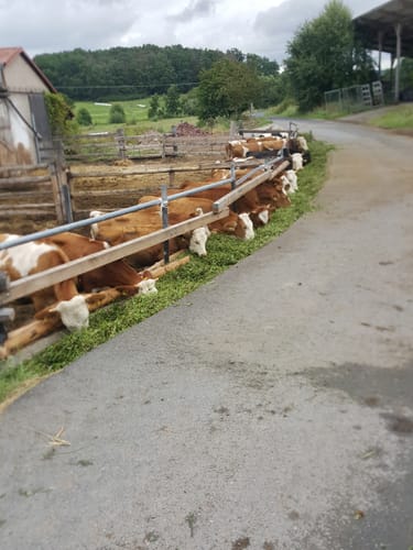 Kräuter-Rundweg Uehlfeld