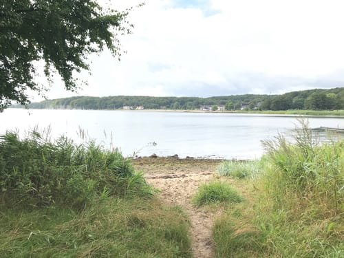 Padborg - Rinkeæs via Gendarmstien