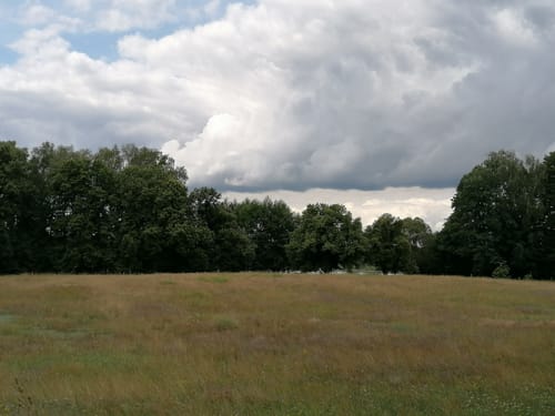 Südlich der Rheinsberger Seen
