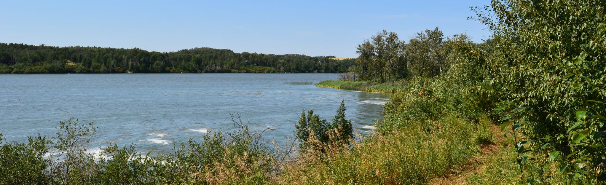 Little Beaver Lake Trail Alberta, Canada AllTrails