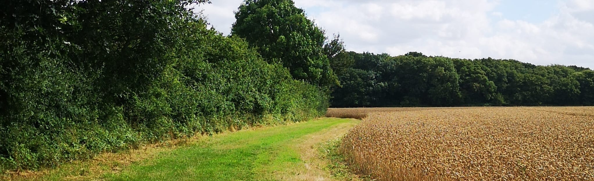 Rayne, Panfield and Jaspers Green Circular 4 Reviews, Map Essex