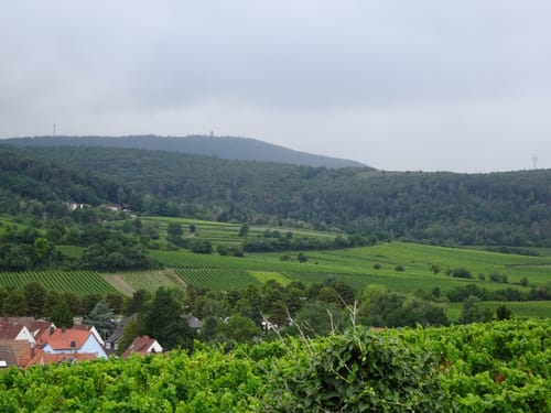 Vom Forsthaus Weilach zum Bismarckturm