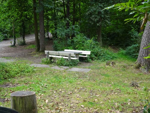 Vom Forsthaus Weilach zum Bismarckturm