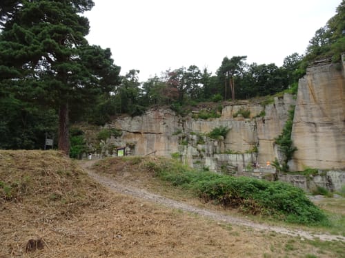 Vom Forsthaus Weilach zum Bismarckturm