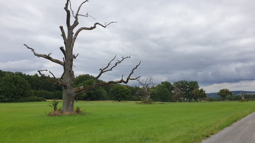 Zur Rother Kuppe ab Nordheim vor der Rhön