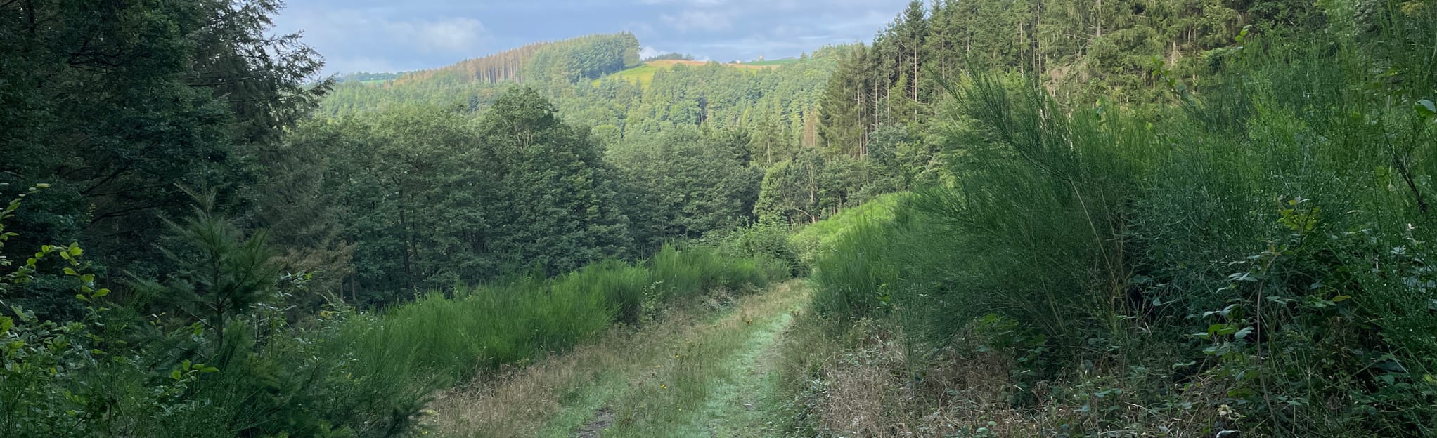 Autopédestre Wahlhausen, Clervaux, Luxembourg 5 Reviews, Map AllTrails