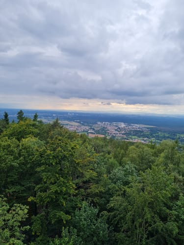 Hahnenkamm-Runde ab Wasserlos