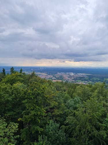 Hahnenkamm-Runde ab Wasserlos