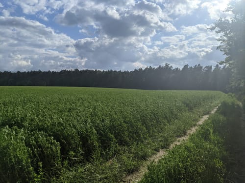 Im Biesenthaler Becken um den Hellsee