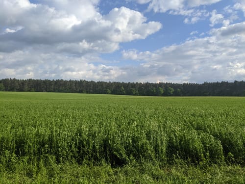 Im Biesenthaler Becken um den Hellsee