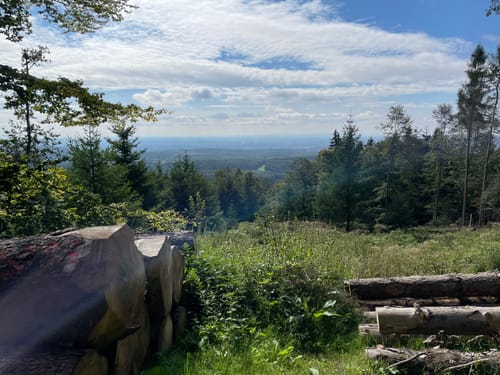 Atzelberg und Rossert