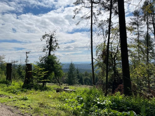 Atzelberg und Rossert