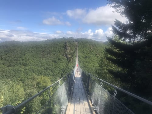 Mörsdorf - Geierlay Brücke - Aussichtspunkt Grossbachtal