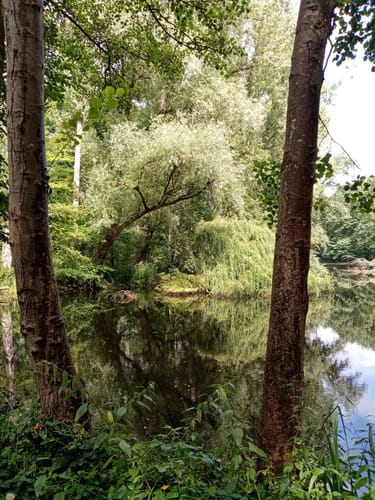 Römerkanal-Wanderweg Etappe 7: Brühl - Sülz