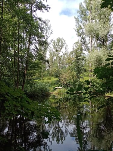 Römerkanal-Wanderweg Etappe 7: Brühl - Sülz