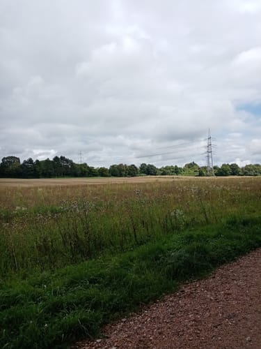 Römerkanal-Wanderweg Etappe 7: Brühl - Sülz